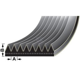 Curea cu caneluri John Deere L200916, 8PK3021