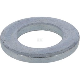 Saiba Horsch 00370567