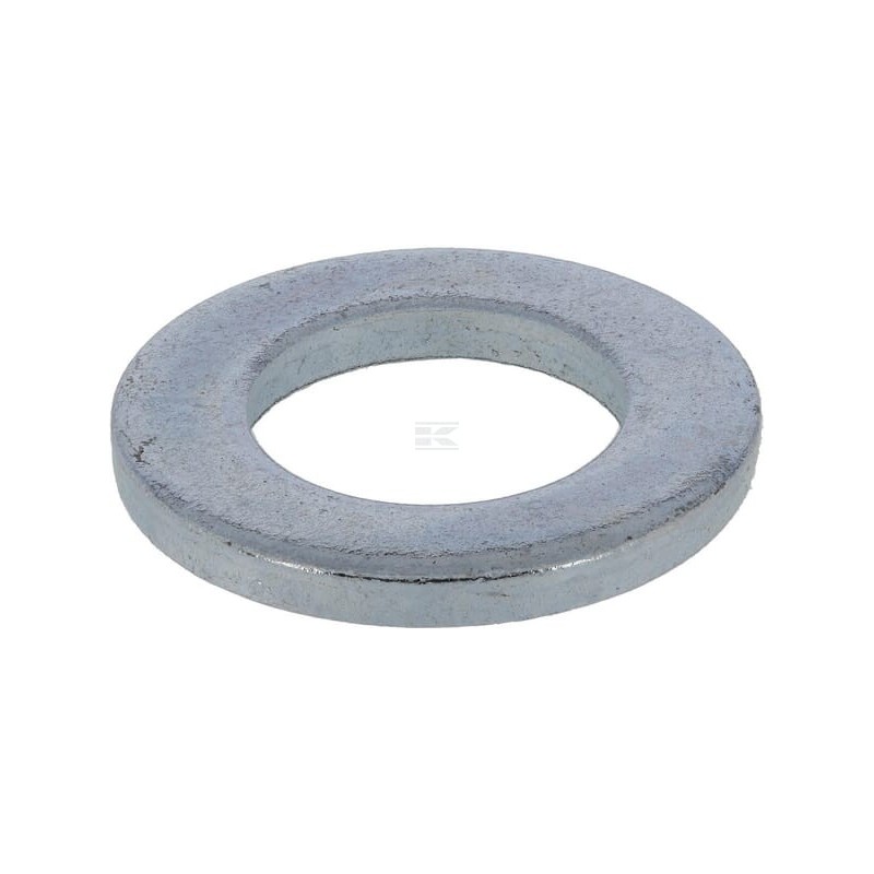 Saiba Horsch 00370567