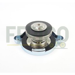 Buson radiator Case IH, SDF A170241