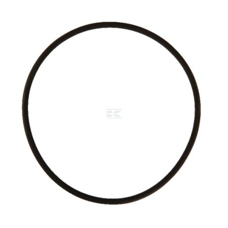 Inel pahar filtru Kverneland RG00018769 94.85x3.53 mm