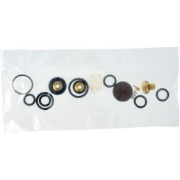 Set reparatie pistol stropit Braglia seriile M75, M76 și M80
