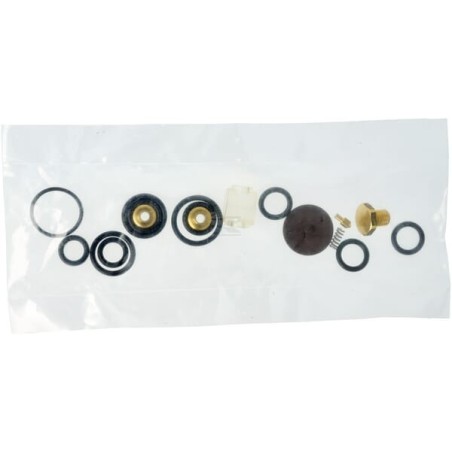 Set reparatie pistol stropit Braglia seriile M75, M76 și M80