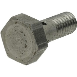 Surub tubular carburant M6x1,00