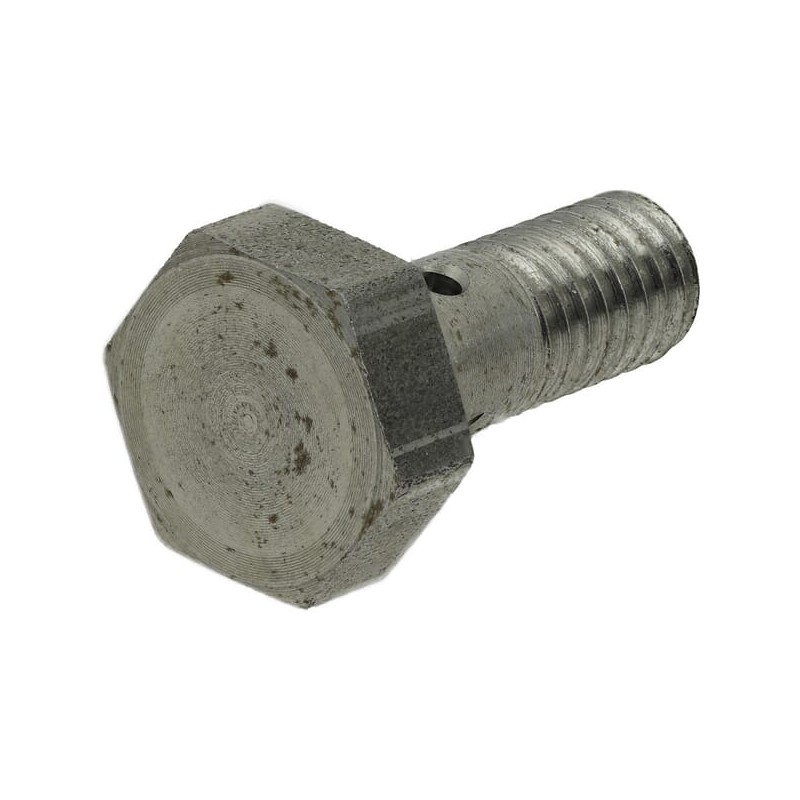 Surub tubular carburant M6x1,00
