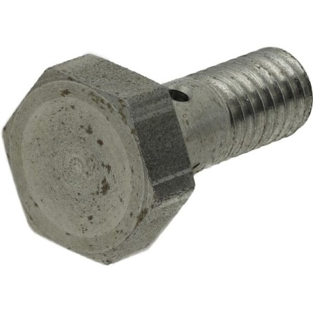 Surub tubular carburant M6x1,00