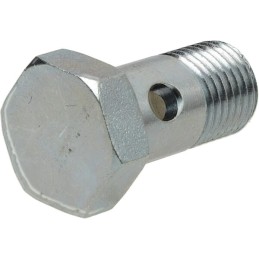 Surub banjo carburant M12x1,25