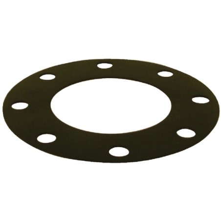 Garnitura pentru flansa standard de 6"