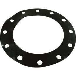 Garnitura pentru flansa standard de 10"