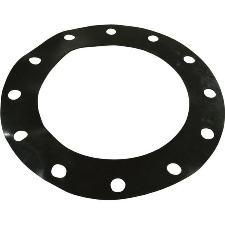 Garnitura pentru flansa standard de 10"