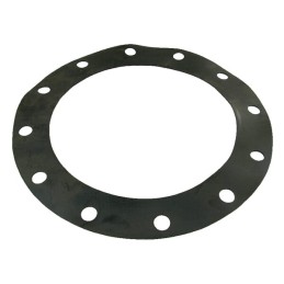 Garnitura pentru flansa 12" 