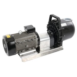 Pompa magnum L, 3" + E-Motor