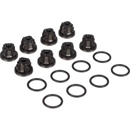 Set de ventil AR1064