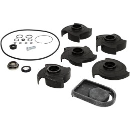 Set de reparatie 2" pompa Poly