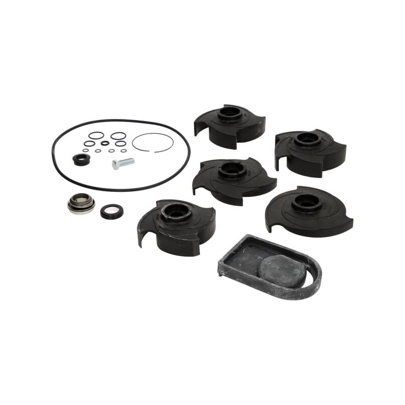 Set de reparatie 2" pompa Poly