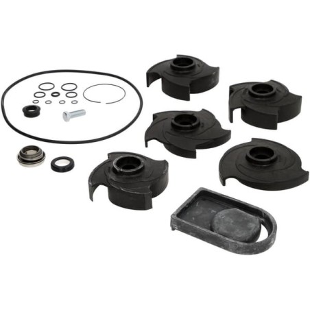 Set de reparatie 2" pompa Poly