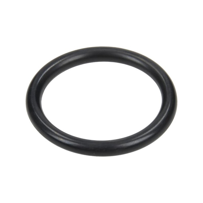 O-ring 31,5x4,25mm 70 shore negru Annovi Reverberi