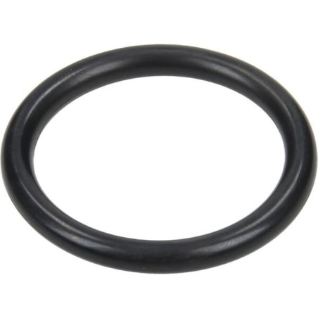 O-ring 31,5x4,25mm 70 shore negru Annovi Reverberi