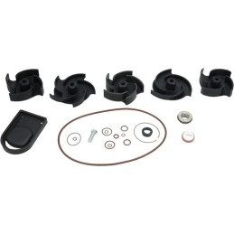 Kit reparatie pompa Poly 2" FKM
