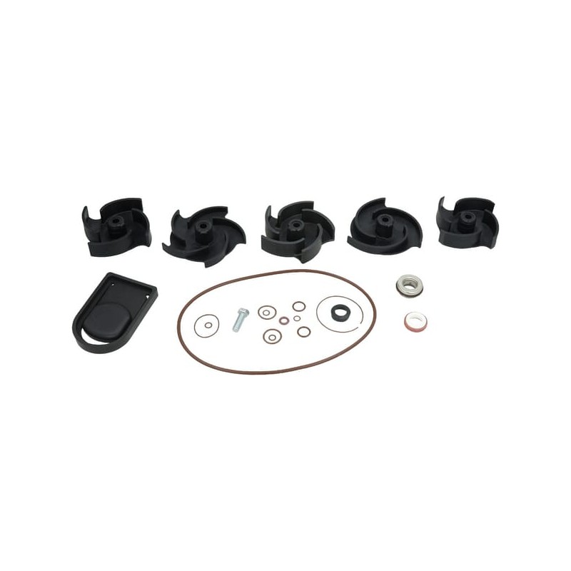 Kit reparatie pompa Poly 2" FKM