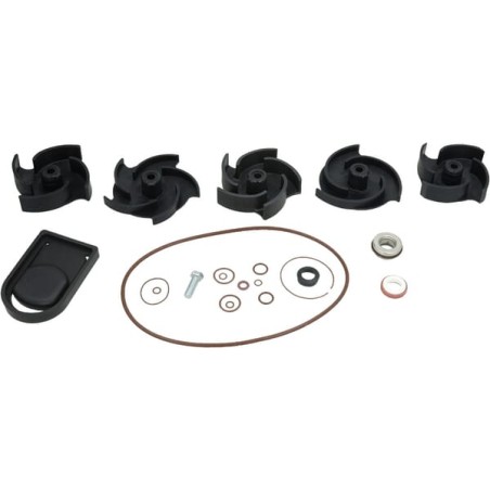 Kit reparatie pompa Poly 2" FKM