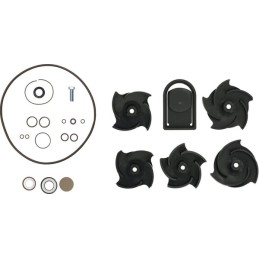 Kit reparatie pompa Poly 2" FKM