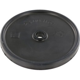 Diafragma piston
