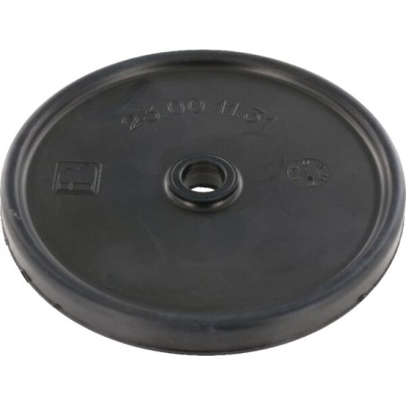 Diafragma piston