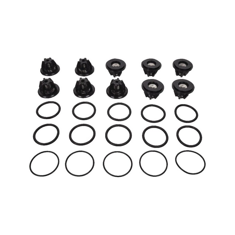 Set supape Bertolini