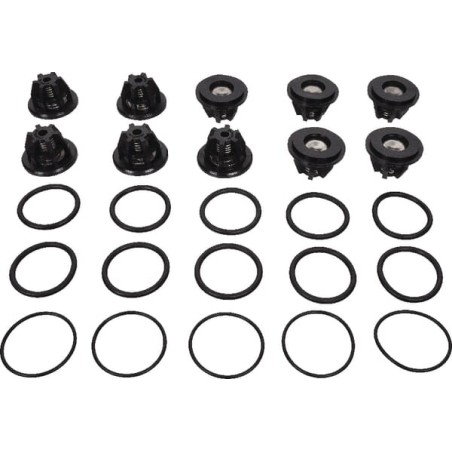 Set supape Bertolini