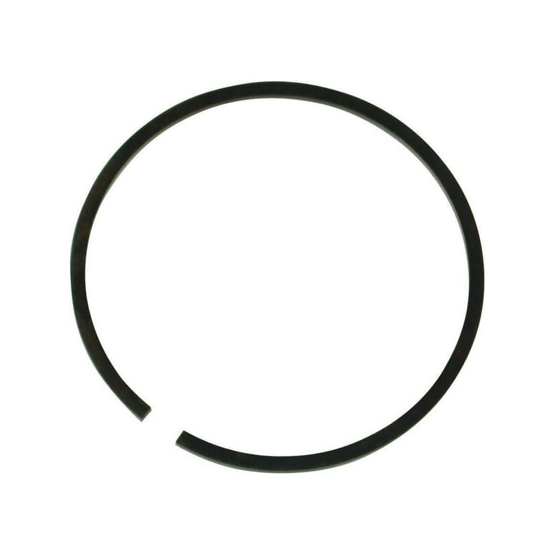 Segment piston