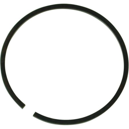 Segment piston