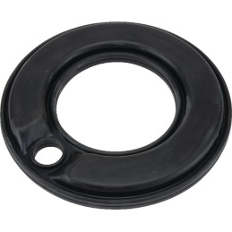 Membrana 100x187 Bertolini