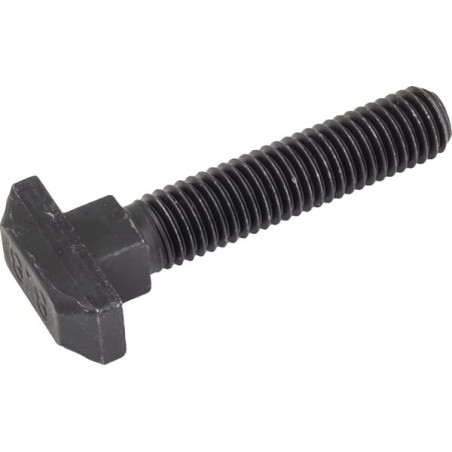 Șurub cap T M10x48mm