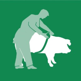 Ruletă de măsurare pentru animale