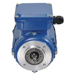 Electromotor 0,37kW