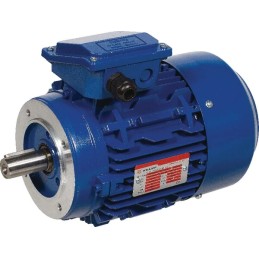 Electromotor 0,75kW IP56