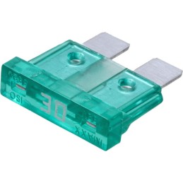 Set siguranțe auto standard 30A lungime 20mm ambalaj 100 buc verde iMaXX