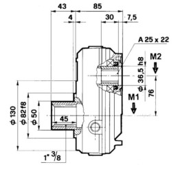 Multiplicator-reductor cu arbore