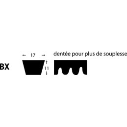 Curea de transmisie trapezoidală dinţată Lw BX42 M S