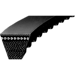 Curea de transmisie trapezoidală dinţată La