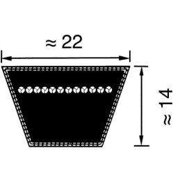 Curea trapezoidală C96 1/2" 22x2450 Optibelt