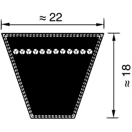 Curea trapezoidală SPC 22x5000 Optibelt