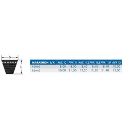 Curea de transmisie trapezoidală dinţată La