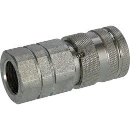 Cuplă rapidă 3/8"-1/2" BSP mamă gopart