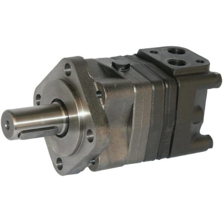 Motor orbital, arbore Ø32, standard