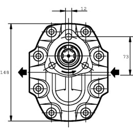 Pompă FP4063D0-19T1-LGF/GE-N