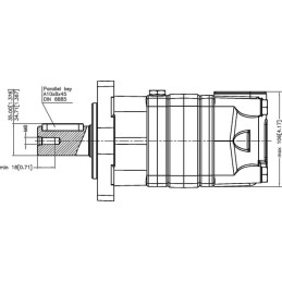 Motor orbital, arbore Ø32, standard