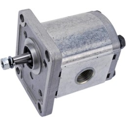 Pompă PLP10.8 D0-81E1-LGD/GD-N-