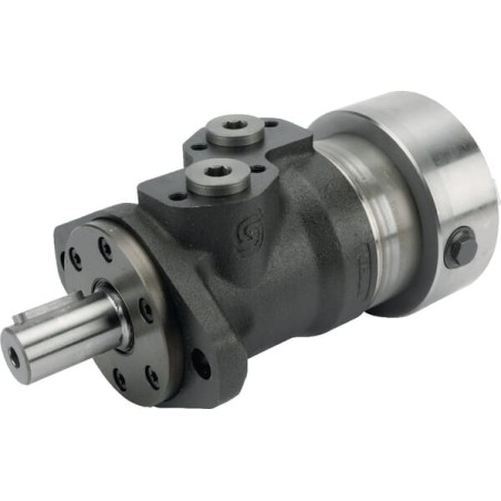 Motor orbital ax diametru 25 r. con+p.rl.v